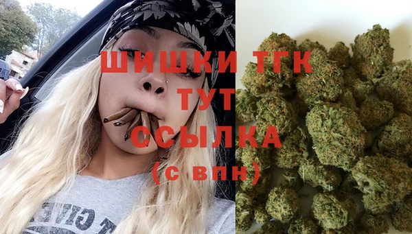 PSILOCYBIN Богородск