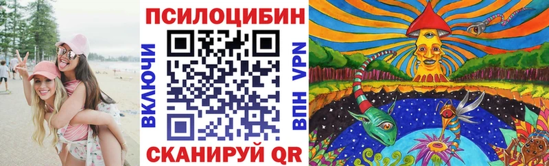 darknet формула  Сасово  Галлюциногенные грибы мицелий 